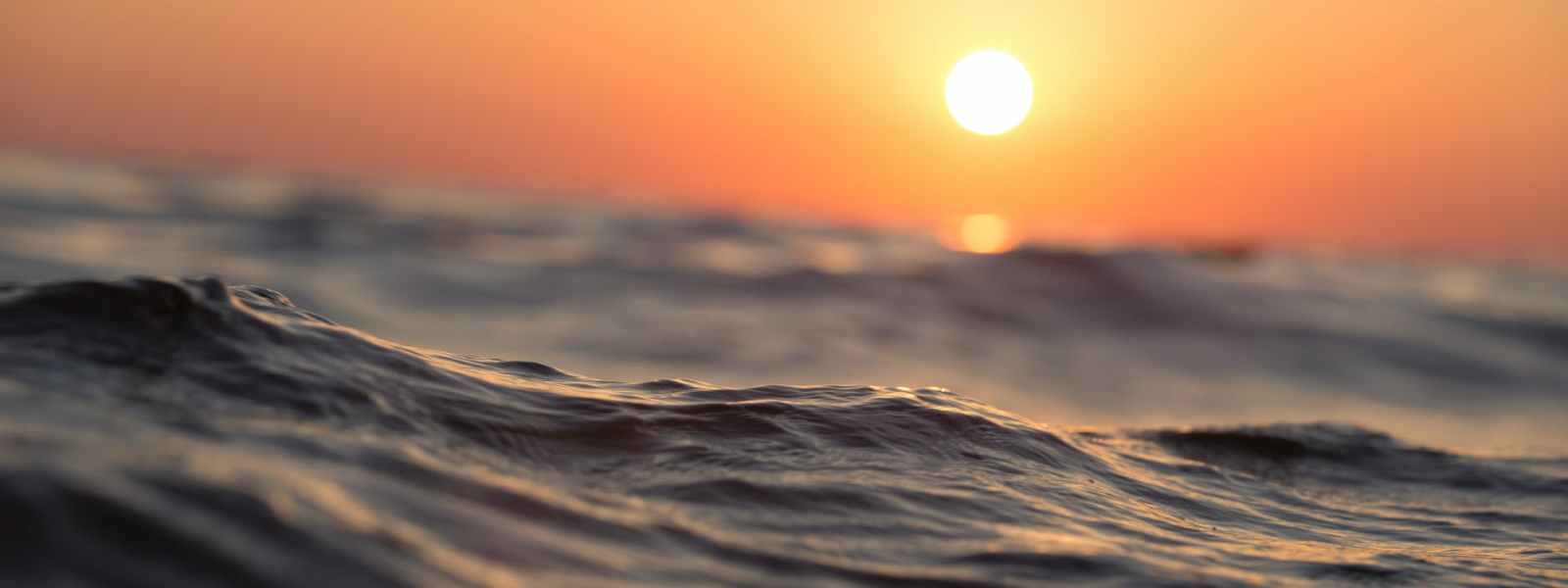 body of water during golden hour