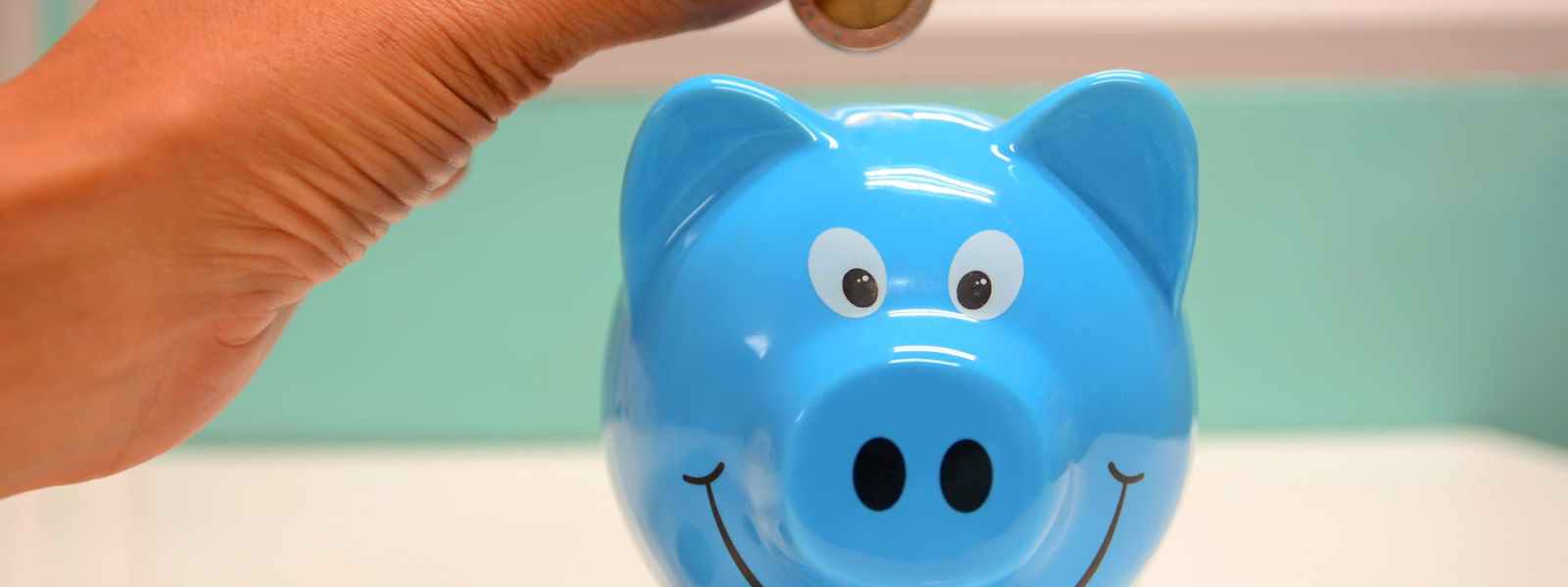 person putting coin in a piggy bank